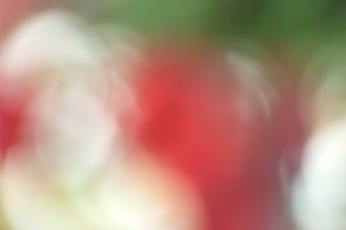 bulanık çiçek arka plan