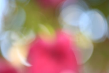 bulanık çiçek arka plan