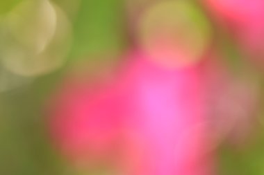 bulanık çiçek arka plan