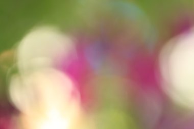 bulanık çiçek arka plan