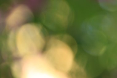 bulanık çiçek arka plan