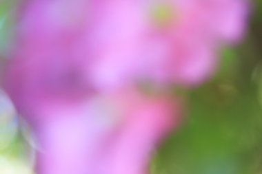 bulanık çiçek arka plan