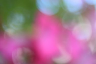 bulanık çiçek arka plan