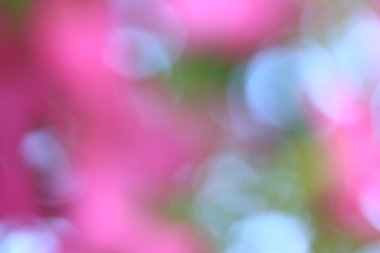 bulanık çiçek arka plan