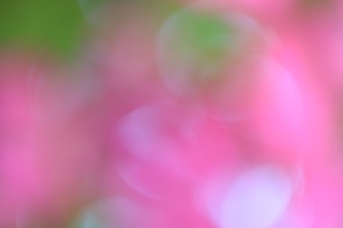 bulanık çiçek arka plan