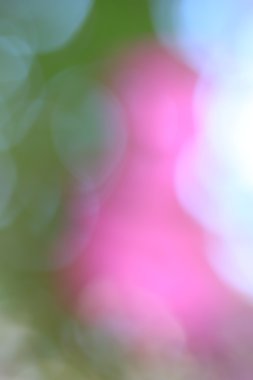 bulanık çiçek arka plan