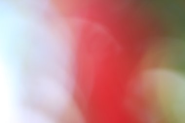 bulanık çiçek arka plan