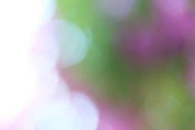 bulanık çiçek arka plan