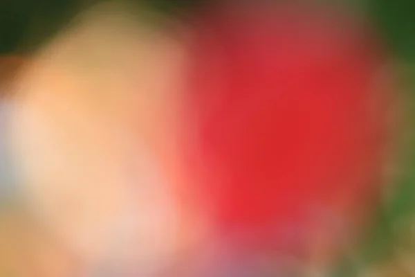 Blurred flowers background — Stock Photo, Image