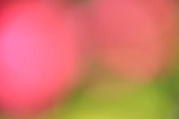 ぼけの花背景 — ストック写真