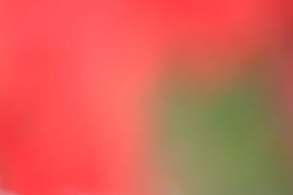 Blurred flowers background — Stock Photo, Image