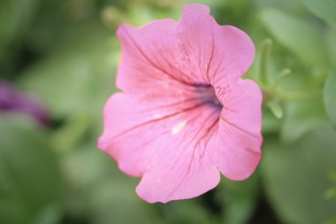 arka plan bulanık doku