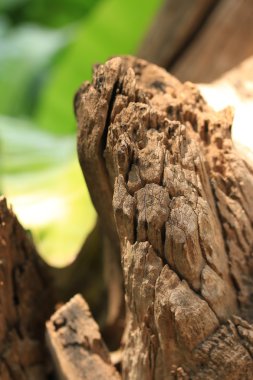 eski ahşap arka plan