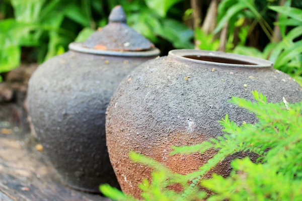 Água de jarros de terra — Fotografia de Stock