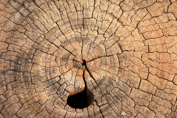 Oude hout achtergrond — Stockfoto