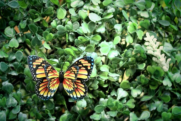 人工の蝶庭の装飾 — ストック写真