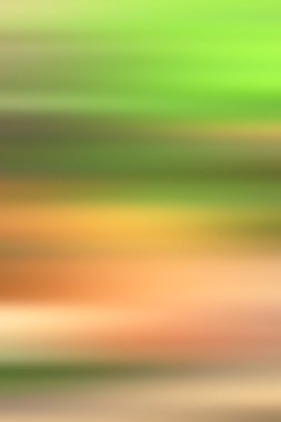 biber nane yaprakları