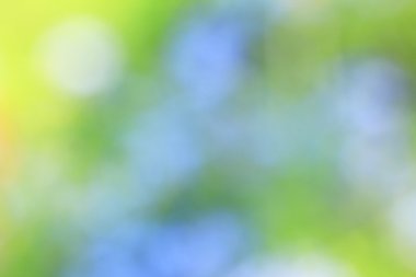 bulanık çiçek arka plan