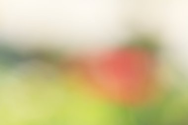 bulanık çiçek arka plan