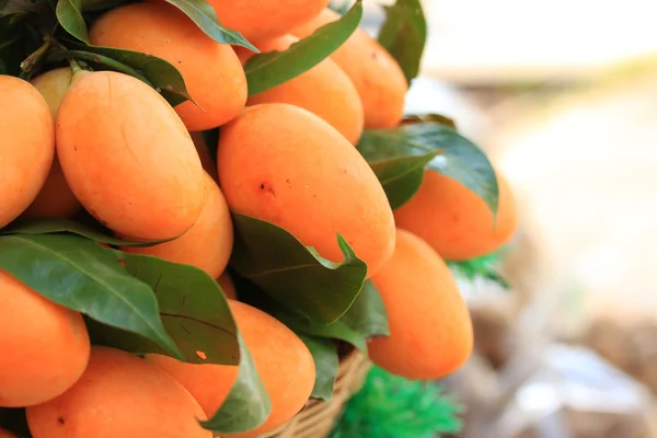 Marian plommon frukt - Asien frukt — Stockfoto