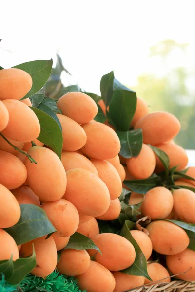 Marian plommon frukt - Asien frukt — Stockfoto