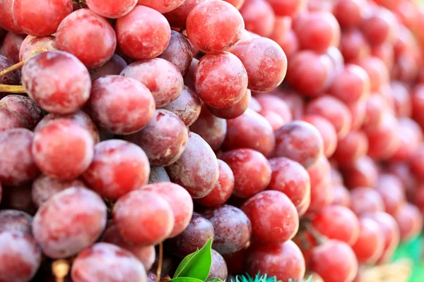 Świeże winogrona — Zdjęcie stockowe