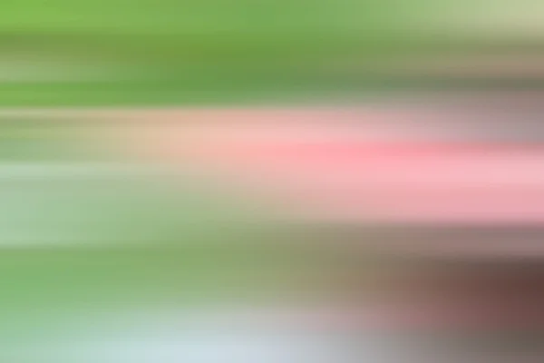 黑斑羚百合沙漠-粉红色花 — 图库照片