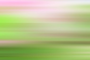 pembe orkide çiçekleri