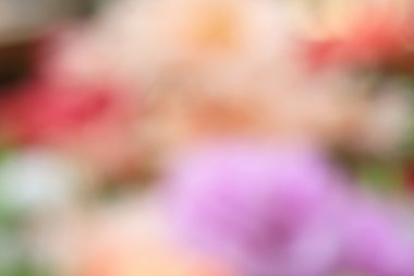 bulanık çiçek arka plan