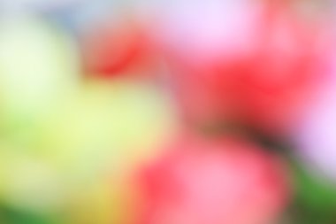 bulanık çiçek arka plan