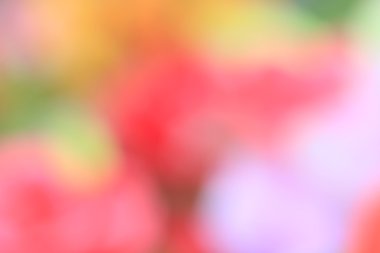 bulanık çiçek arka plan