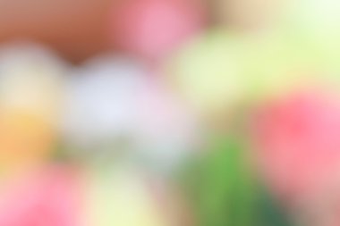 bulanık çiçek arka plan