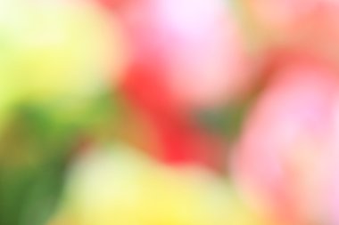 bulanık çiçek arka plan