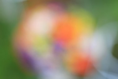 bulanık çiçek arka plan