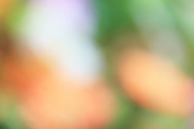 bulanık çiçek arka plan