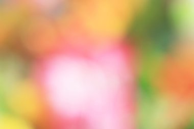 bulanık çiçek arka plan