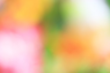 bulanık çiçek arka plan