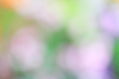 bulanık çiçek arka plan