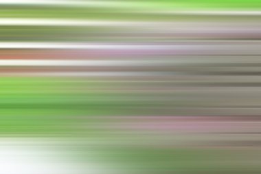 pembe orkide çiçekleri