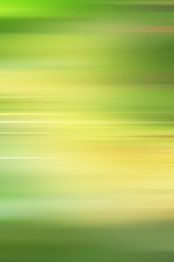 Ağaçtaki gül elması