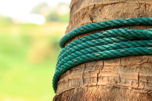 Een bundel van kunststof touw — Stockfoto