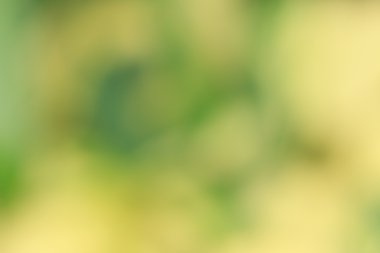 bulanık çiçek ışık yollar arka plan