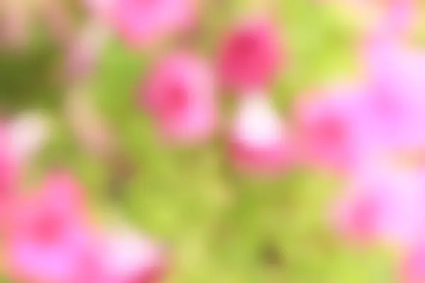 Blurred flowers light trails background — Stock Photo, Image