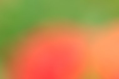 bulanık çiçek arka plan