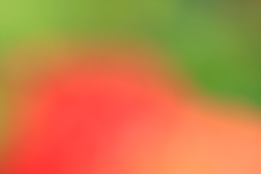 bulanık çiçek arka plan