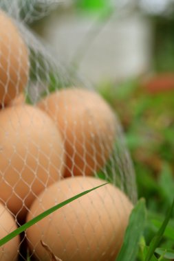 Vintage Paskalya yumurtaları