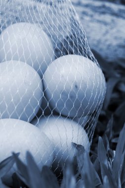 Vintage Paskalya yumurtaları