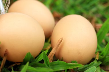 Vintage Paskalya yumurtaları