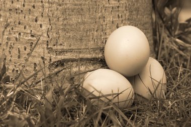 Vintage Paskalya yumurtaları