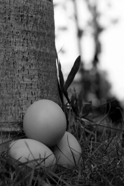 Vintage Paskalya yumurtaları
